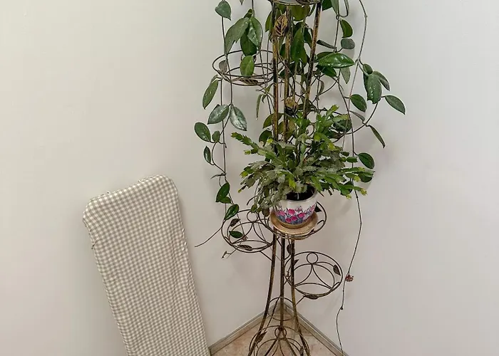 Joasia منزل للإقامة Władysławowo